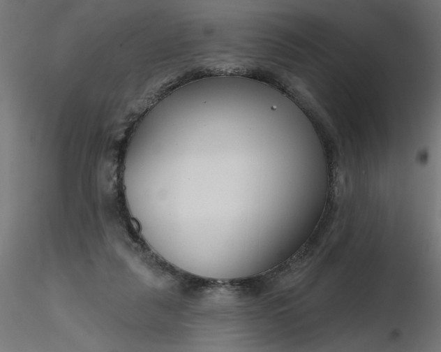 X0000116670259200912291704