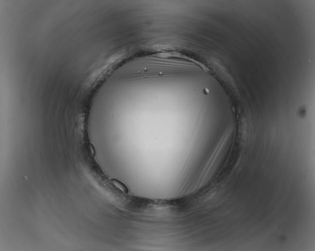 X0000116670260200912291704