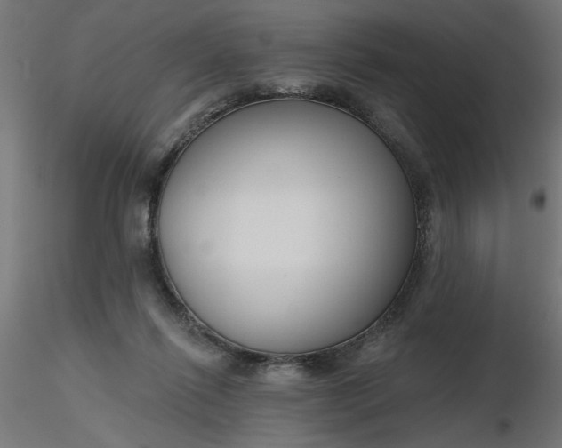 X0000116670262200912291704