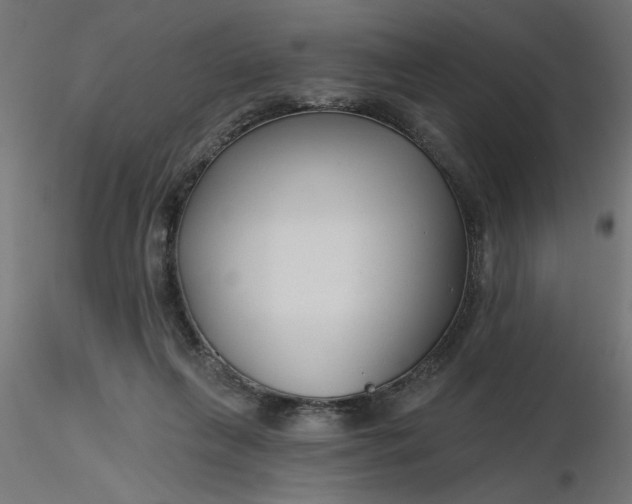 X0000116670263200912291704