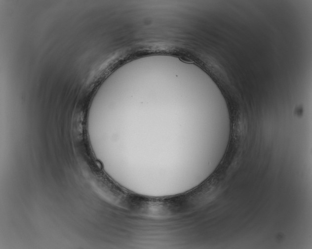 X0000116670264200912291704