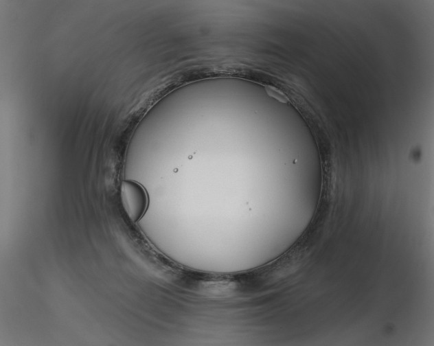 X0000116670266200912291704