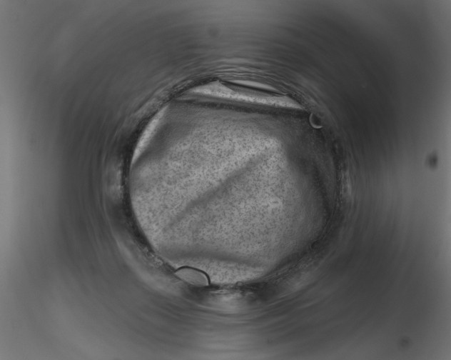 X0000116670267200912291704