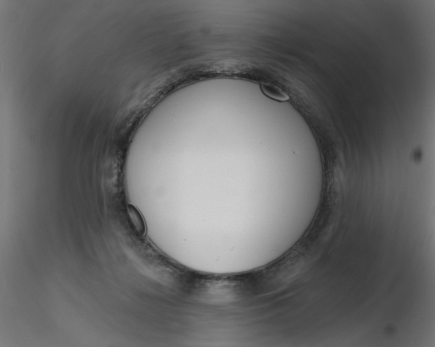 X0000116670268200912291704