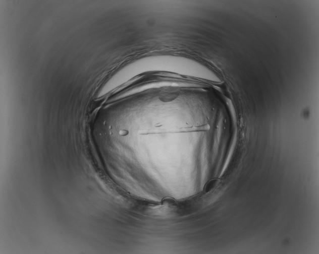 X0000116670269200912291704