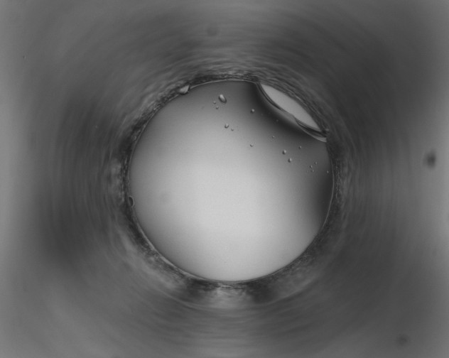 X0000116670270200912291704