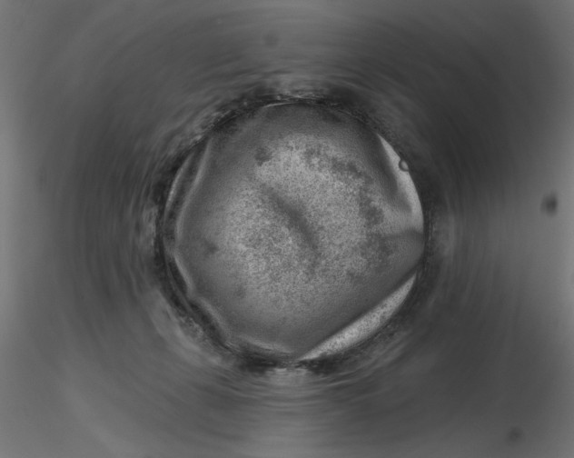 X0000116670271200912291704