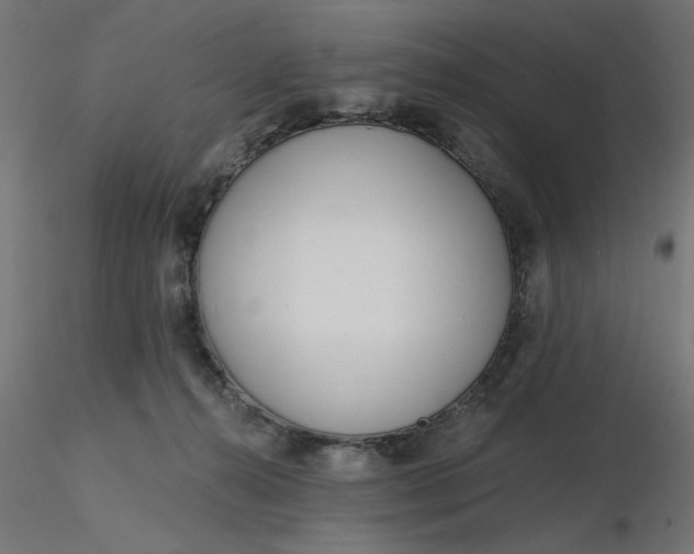 X0000116670272200912291704