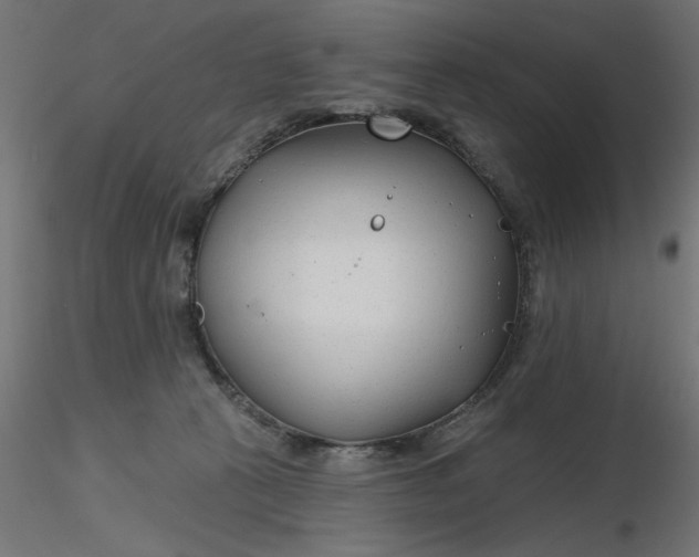 X0000116670273200912291704