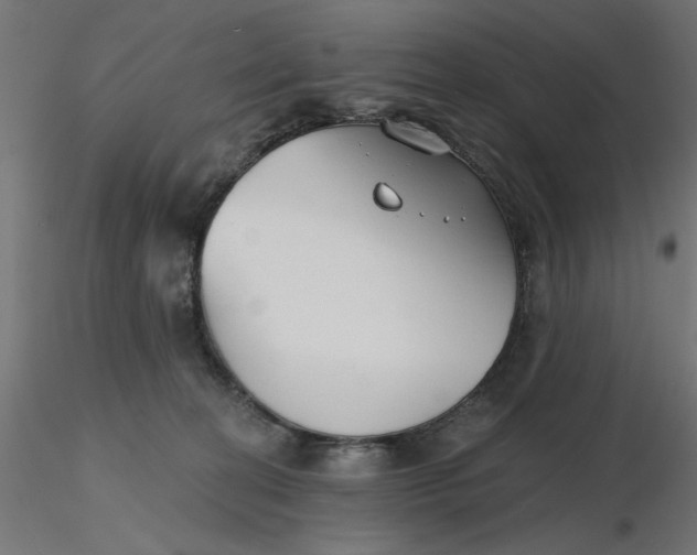 X0000116670274200912291704