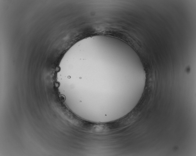 X0000116670275200912291704