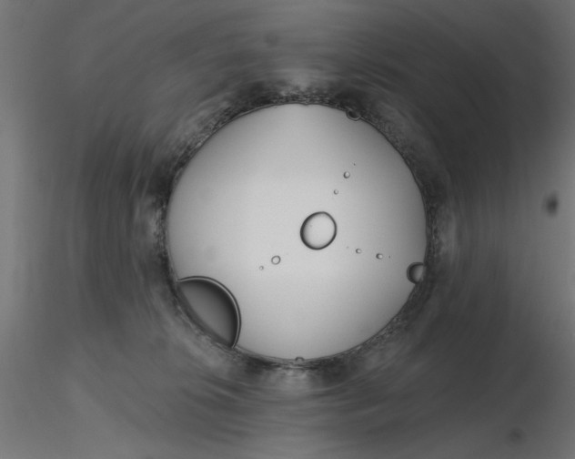 X0000116670276200912291704