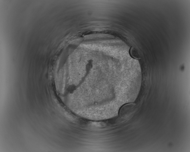 X0000116670277200912291704