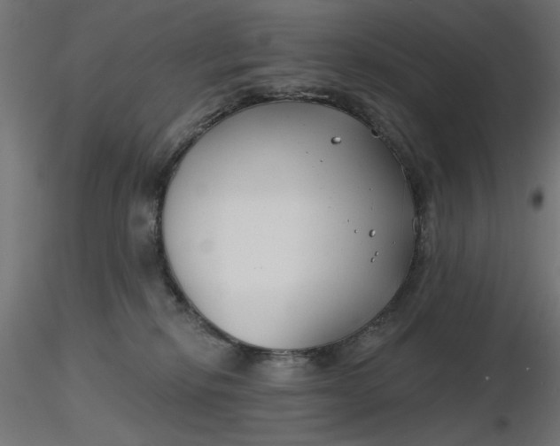 X0000116670278200912291704