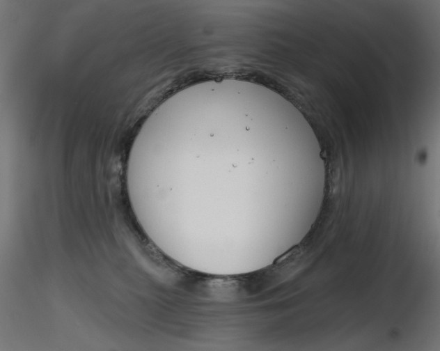 X0000116670279200912291704