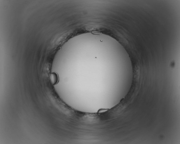 X0000116670280200912291704