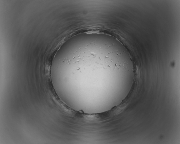 X0000116670281200912291705