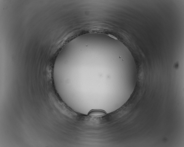 X0000116670282200912291705