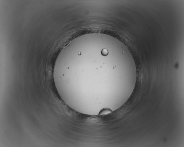 X0000116670283200912291705