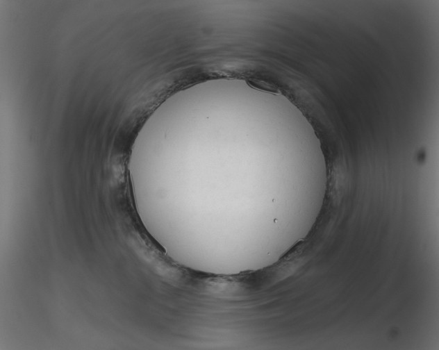 X0000116670284200912291705