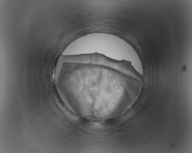 X0000116670285200912291705