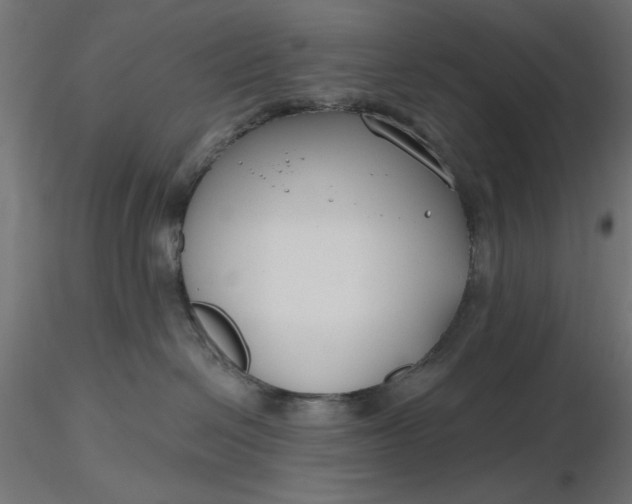 X0000116670286200912291705