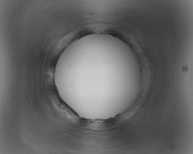 X0000116670288200912291705