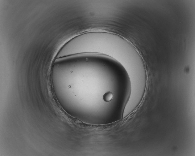 X0000116670289200912291704