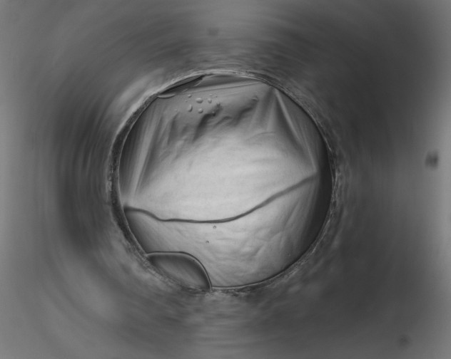 X0000116670290200912291704