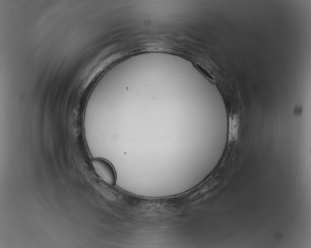 X0000116670291200912291704