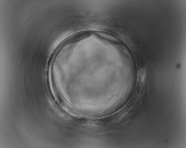 X0000116670292200912291704