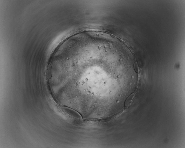 X0000116670293200912291704