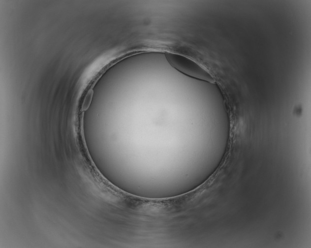 X0000116670294200912291704