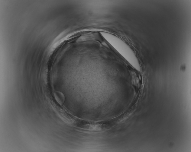 X0000116670295200912291704