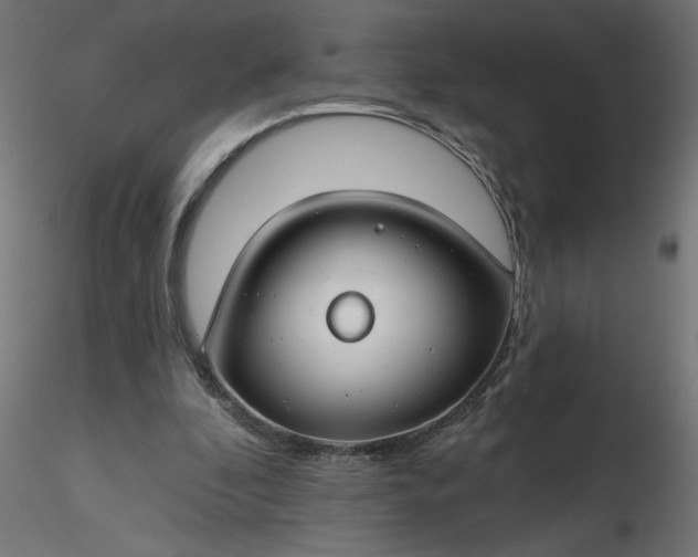 X0000116670296200912291704