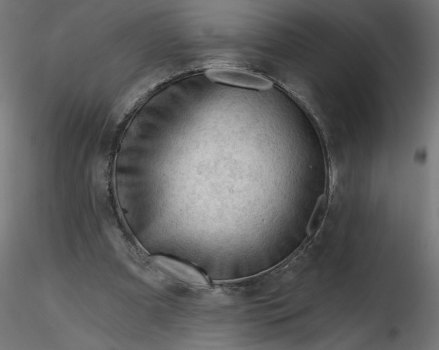 X0000116670297200912291704