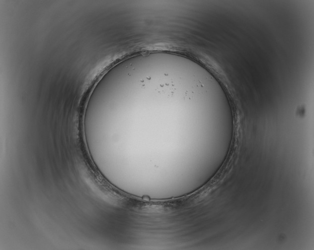 X0000116670298200912291704