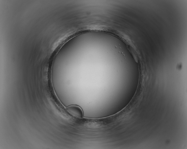 X0000116670299200912291704