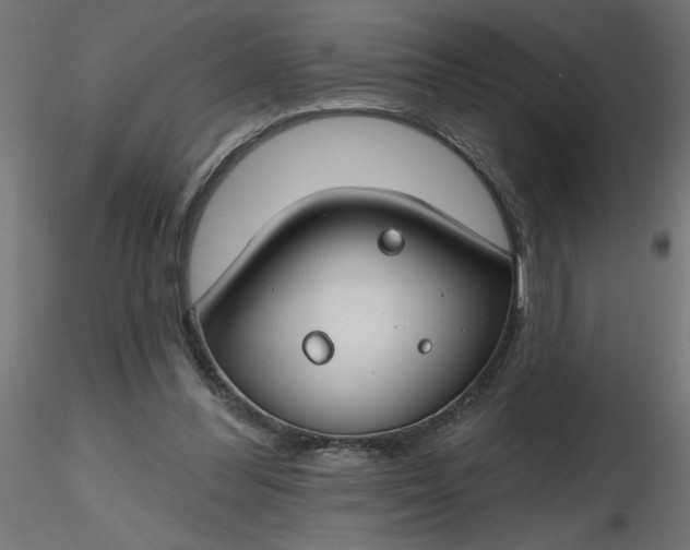 X0000116670300200912291704