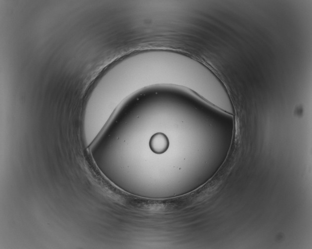 X0000116670301200912291704