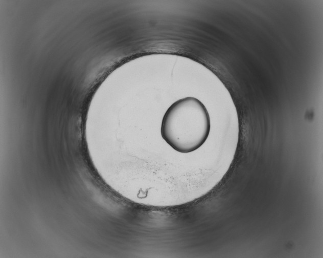 X0000116670302200912291704