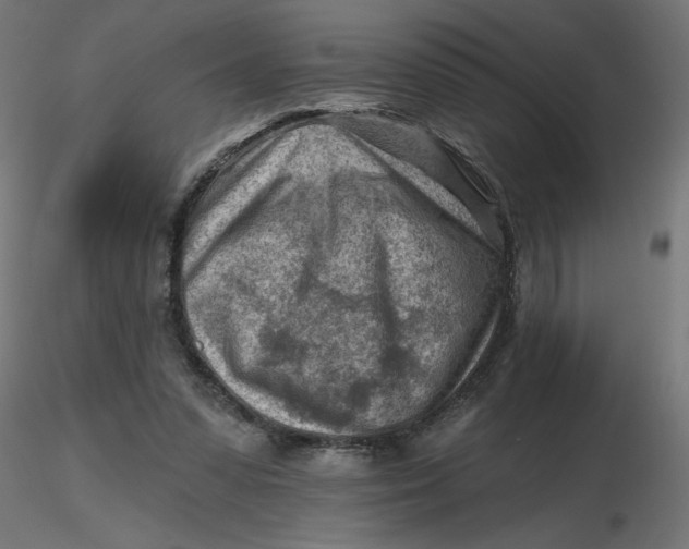 X0000116670303200912291704