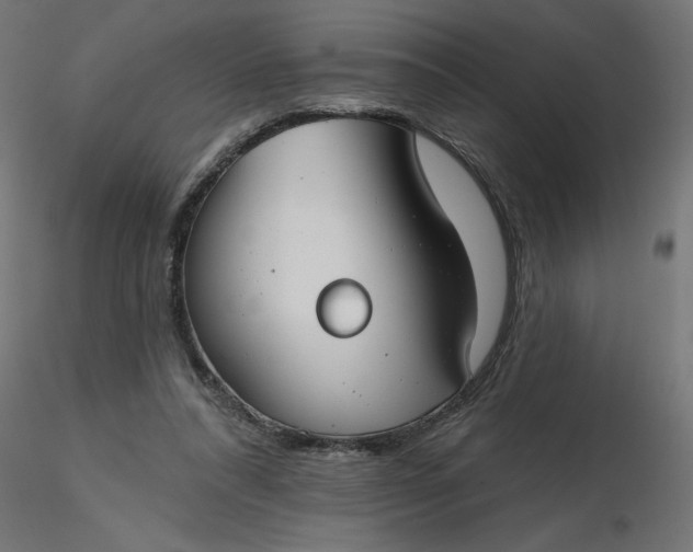 X0000116670304200912291704