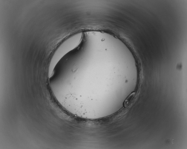 X0000116670305200912291704