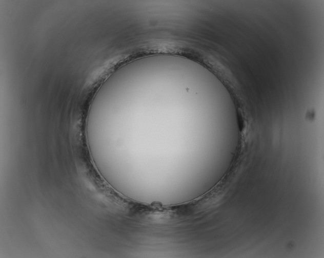 X0000116670306200912291704