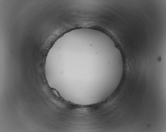 X0000116670307200912291704