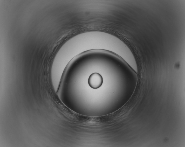 X0000116670308200912291704