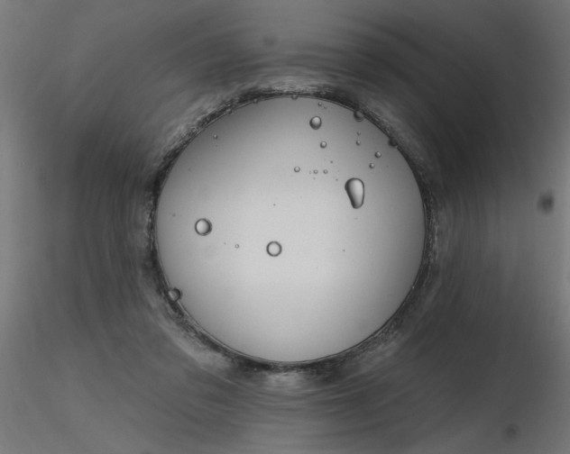 X0000116670309200912291704