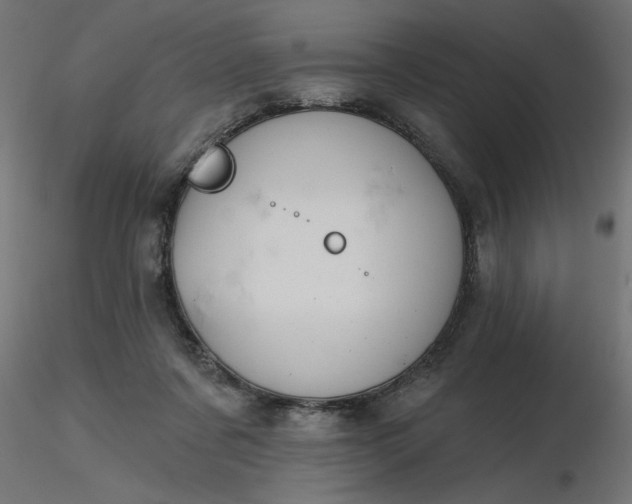 X0000116670311200912291704