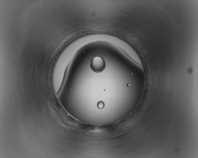 X0000116670312200912291704